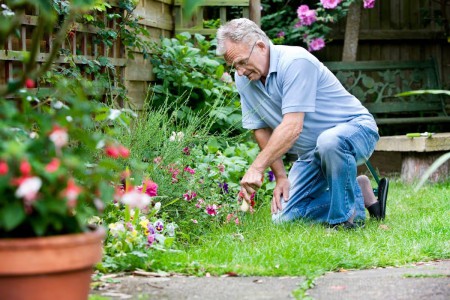 sénior qui fait du jardinage